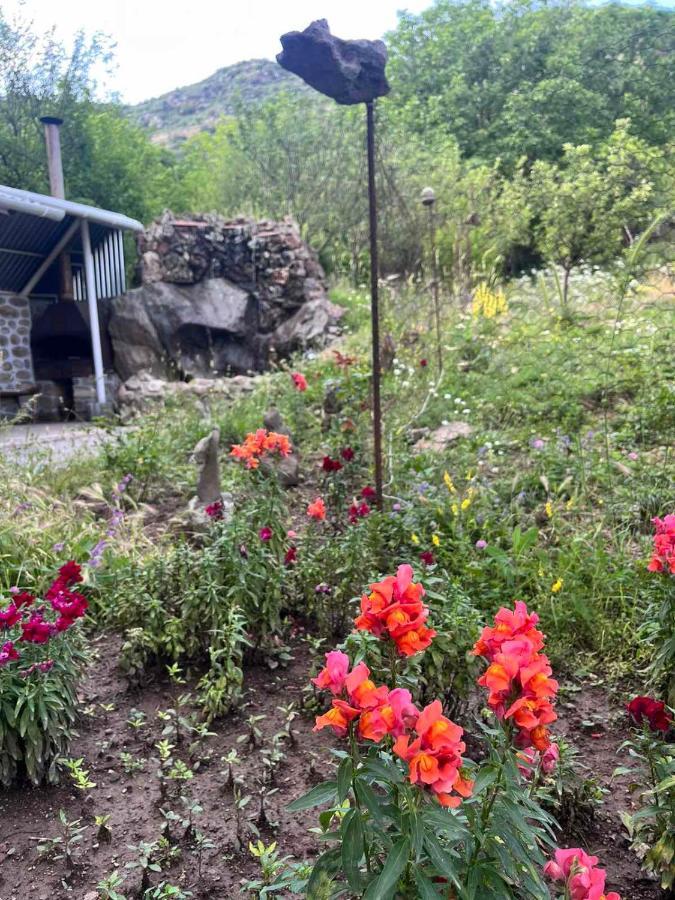 Hotel Halidzor Extérieur photo
